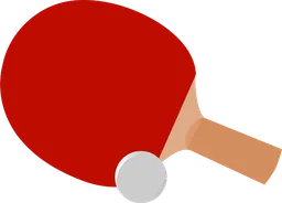 table tennis bat.webp